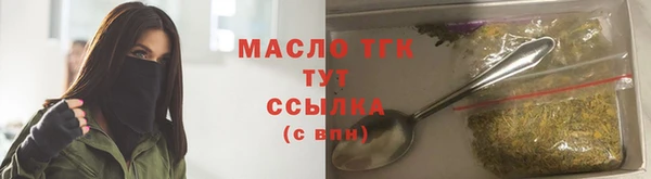 твердый Богородицк